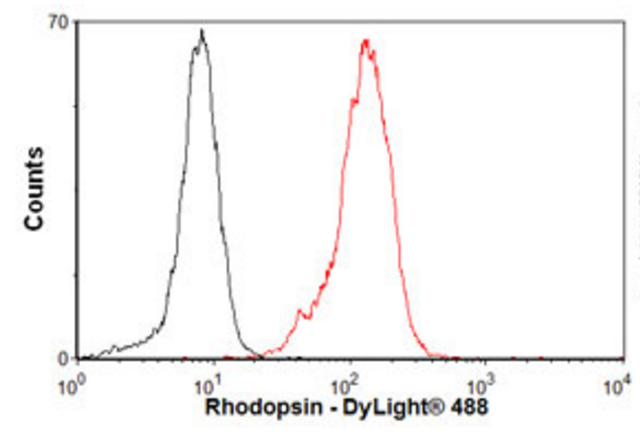 Rhodopsin Flow Cytometry