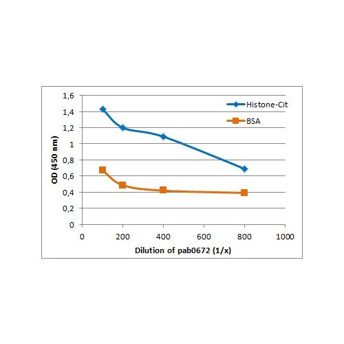 Citrulline antibody<br/>(pab0672)<br/>ELISA data demonstrating the specificity of pab0672 to citrulline naturally present in histones (endogenous citrulline).