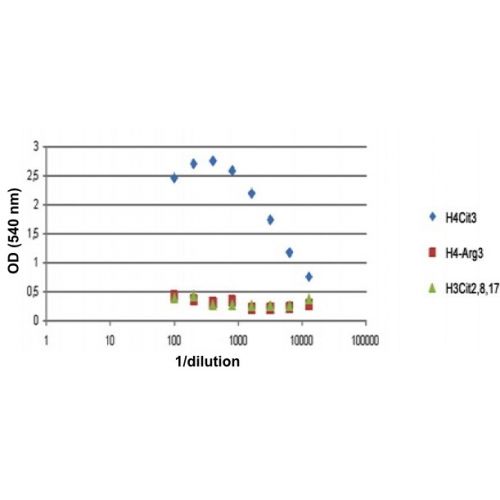 Histone H4 citrulline R3 antibody