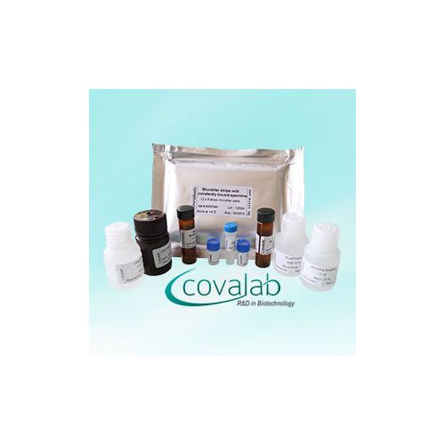 Specific Keratinocyte Transglutaminase (Tgase-1) Colorimetric Microassay Kit : TG1-CovTest