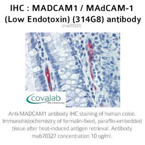 MADCAM1 / MAdCAM-1 (Low Endotoxin) (314G8) antibody