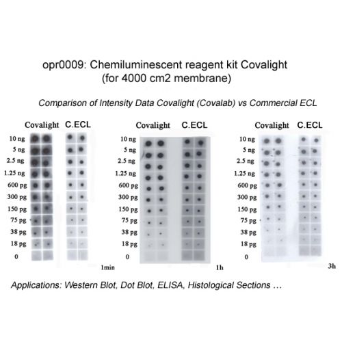Covalight ECL reagent