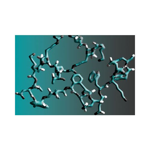 Excitatory amino acid transporter 1 peptide