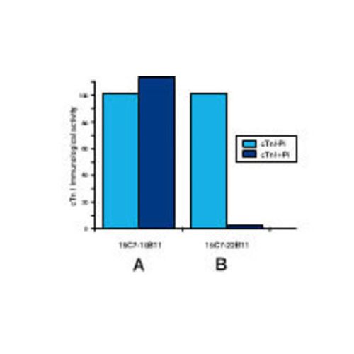 Cardiac Troponin I antibody (19C7)