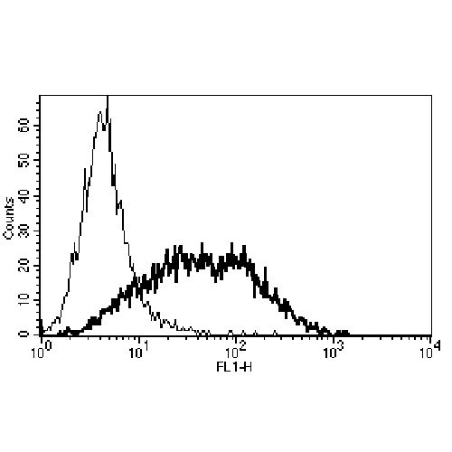 CD25 antibody (B-B10)