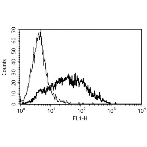 CD25 antibody (B-F2)