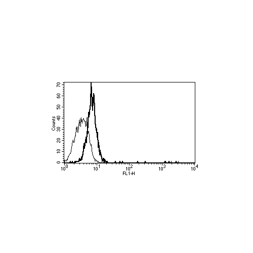 CD130 antibody (B-P8)