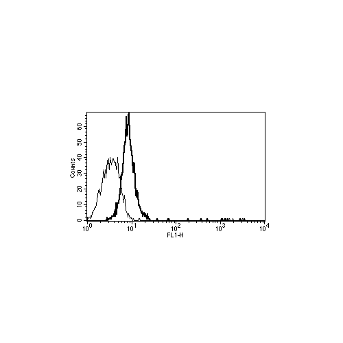 CD130 antibody (B-P4)