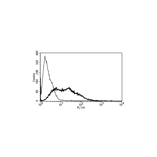 CD106 antibody (B-K9)