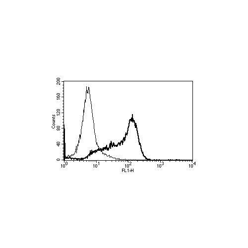CD6 antibody (B-F3)