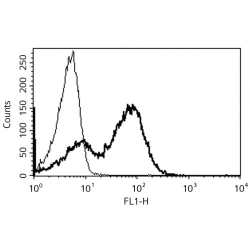CD7 antibody (B-F12)