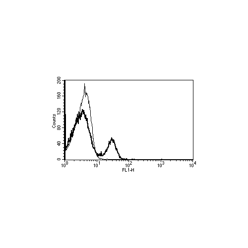 CD40 antibody (B-B20)