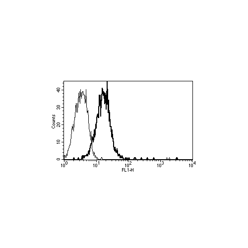 CD109 antibody (B-E47)
