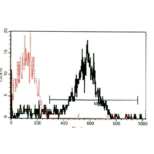 CD62P antibody (B-F46)