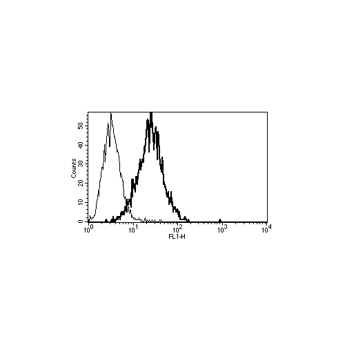 CD112 antibody (B-C12)