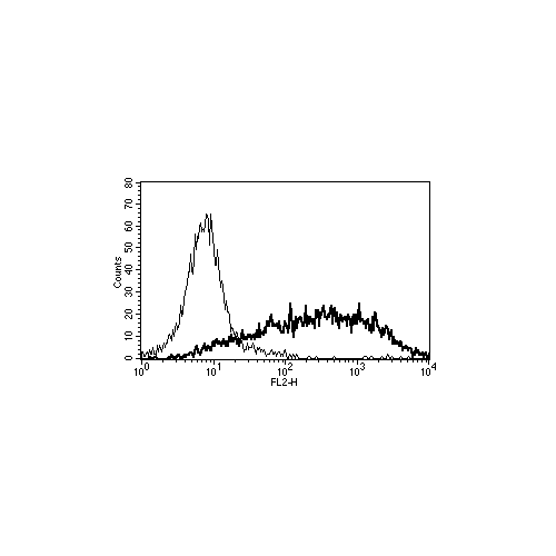 CD25 antibody (B-B10) [Biotin]