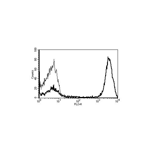 CD3 antibody [Biotin] (B-B11)