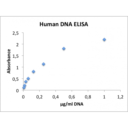 DNA (ET844.3.1) antibody