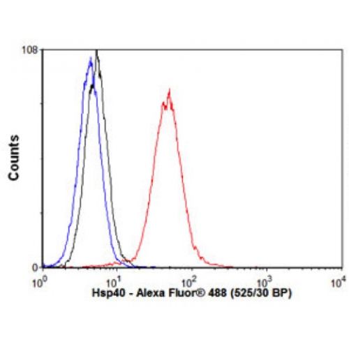 Hsp40 (Hdj1) (3B9.E6) antibody