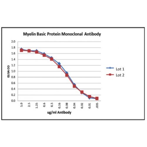 Myelin Basic Protein (MBP101) antibody