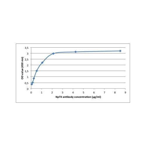 NPTII antibody