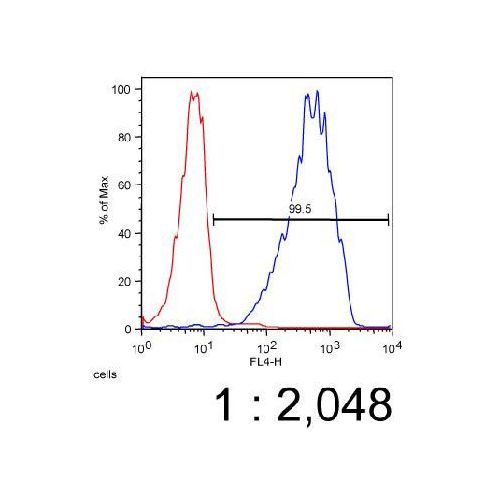 ATP-binding cassette sub-family A member 7 (ABCA7) antibody