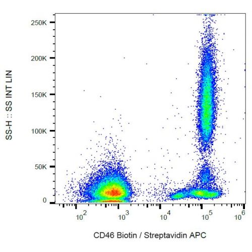 CD46 antibody (MEM-258)