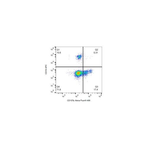 CD107b antibody (H4B4)