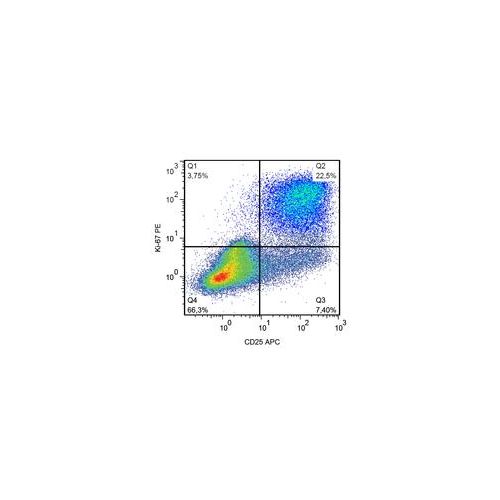 Ki-67 antibody (Ki-67)