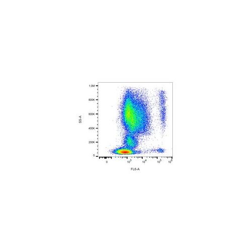 CD193 antibody (5E8)
