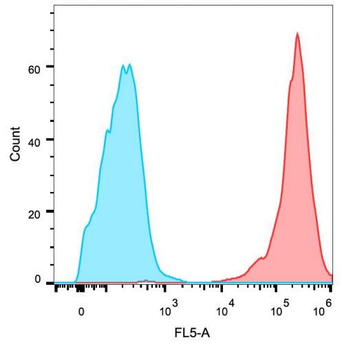 EGFR antibody (EGFR1)