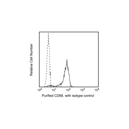 CD68 antibody (Y1/82A)