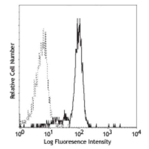 CD116 antibody (4H1)
