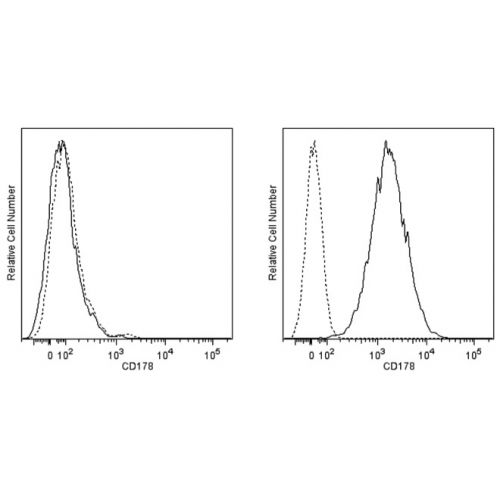 CD178 / Fas-L antibody (NOK-1)
