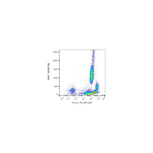 beta2-Microglobulin antibody (B2M-01) [FITC]