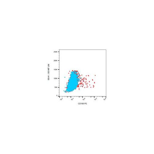 CD106 antibody (STA) [PE]