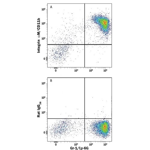 CD11b antibody (M1/70) [APC]