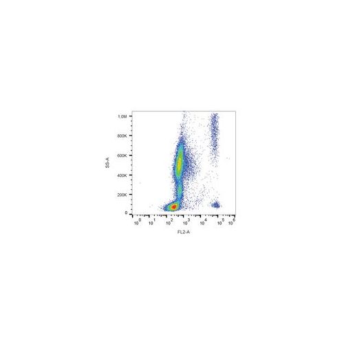 CD193 antibody (5E8) [PE]