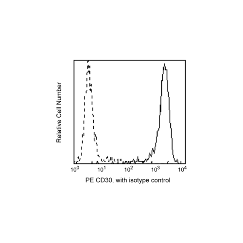 CD30 antibody (Ber-H8) [PE]