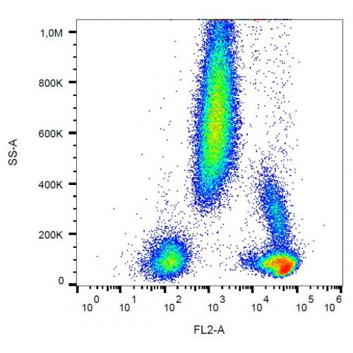 CD48 antibody (MEM-102) [PE]