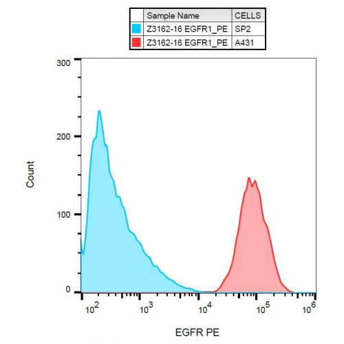 EGFR antibody (EGFR1) [PE]