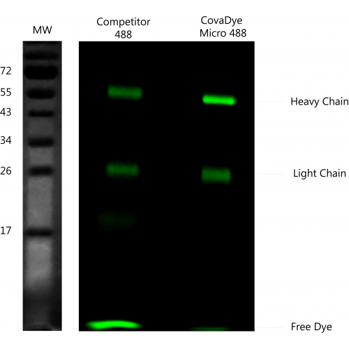 CovaDye Micro 488 Labelling Kit