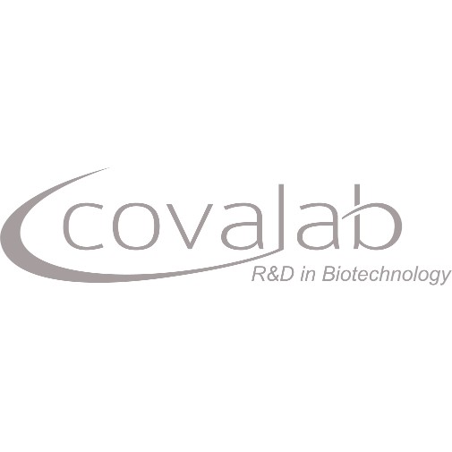 ECS-Tag antibody [Agarose]