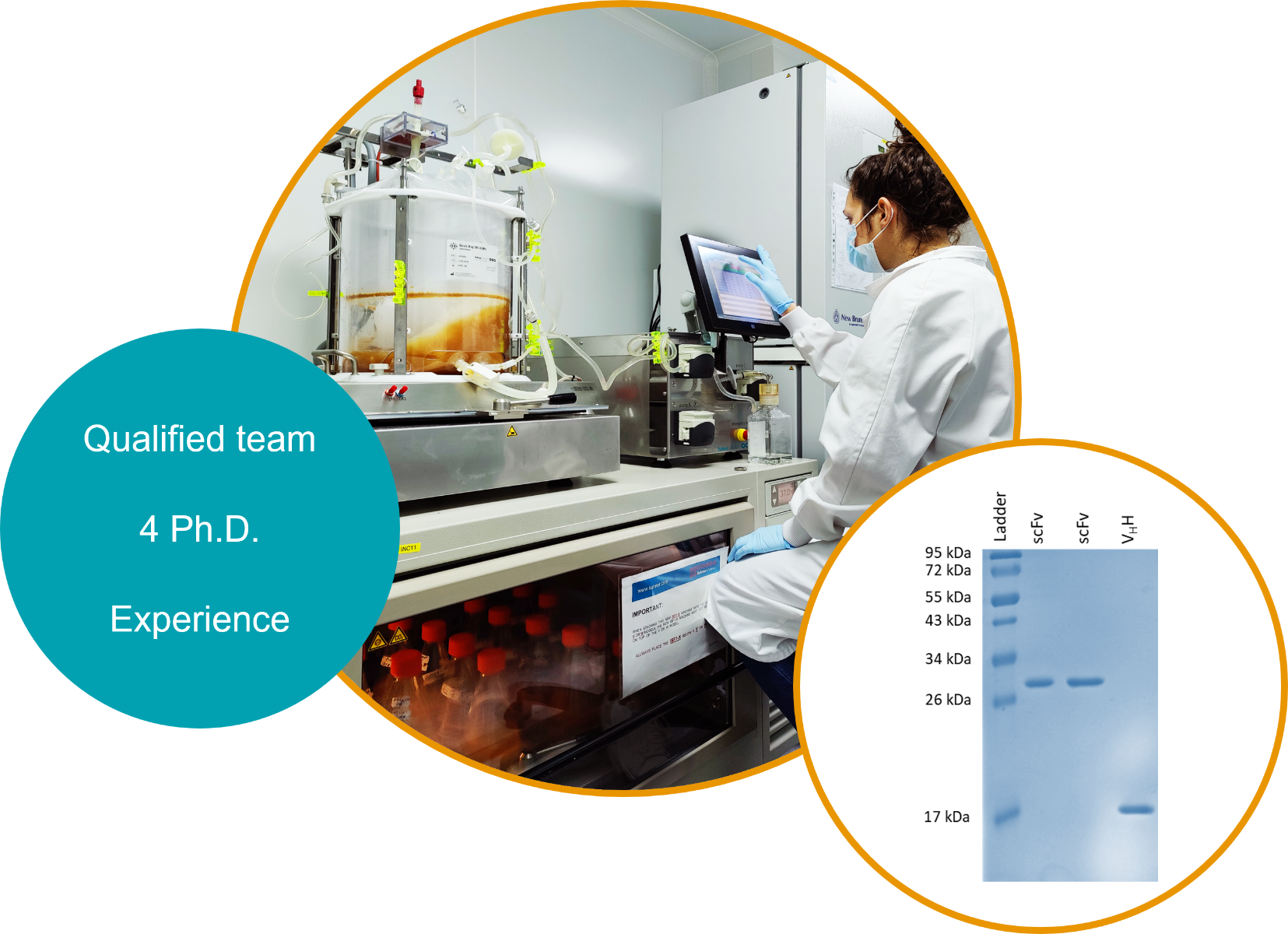 Bioreactor_SDS Page