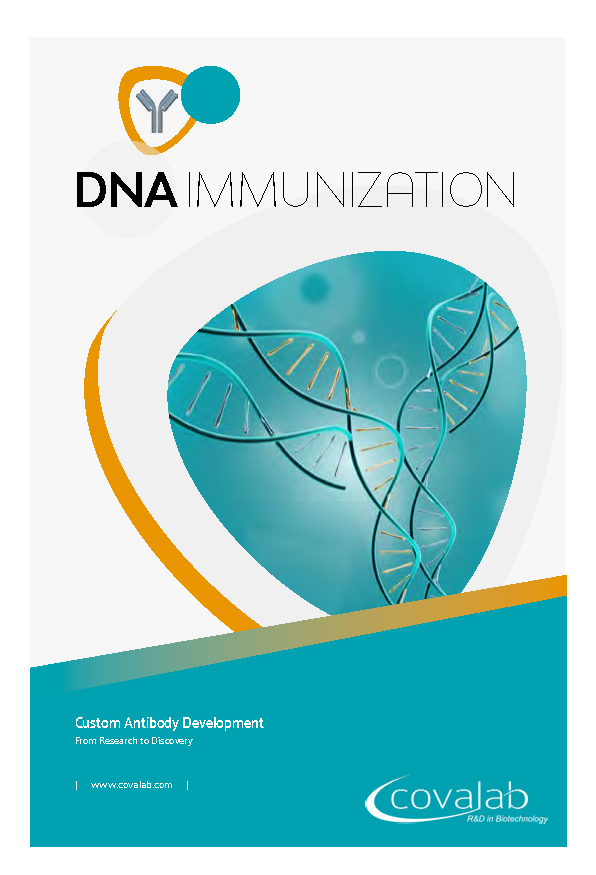 DNA immunization