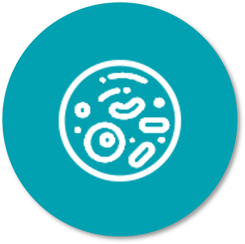 Host cell protein_QC