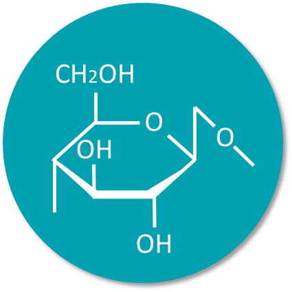 Glycosylation study_QC