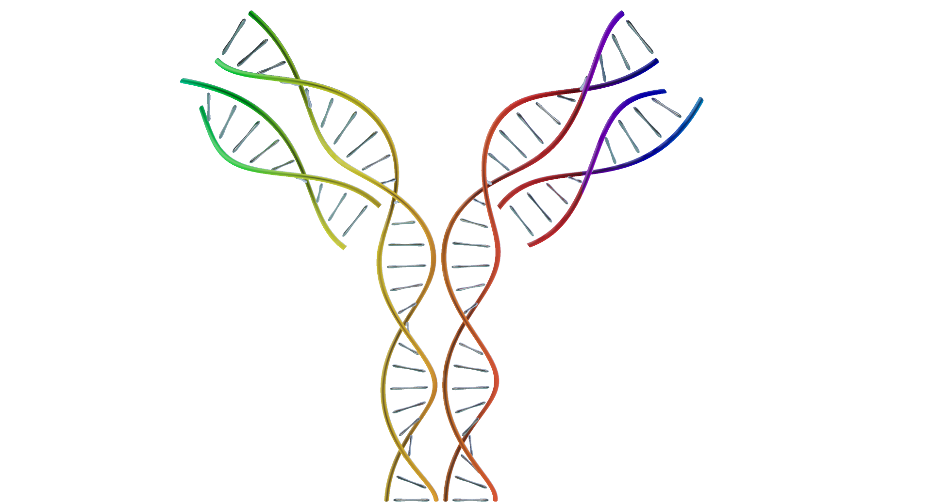 Learn more about our available labels Labelling antibodies in the laboratory
