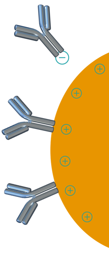 physicochemical separation physicochemical separation