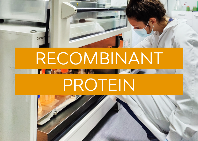 Recombinant protein